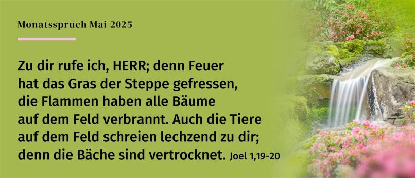 Monatsspruch-Mai-2025
